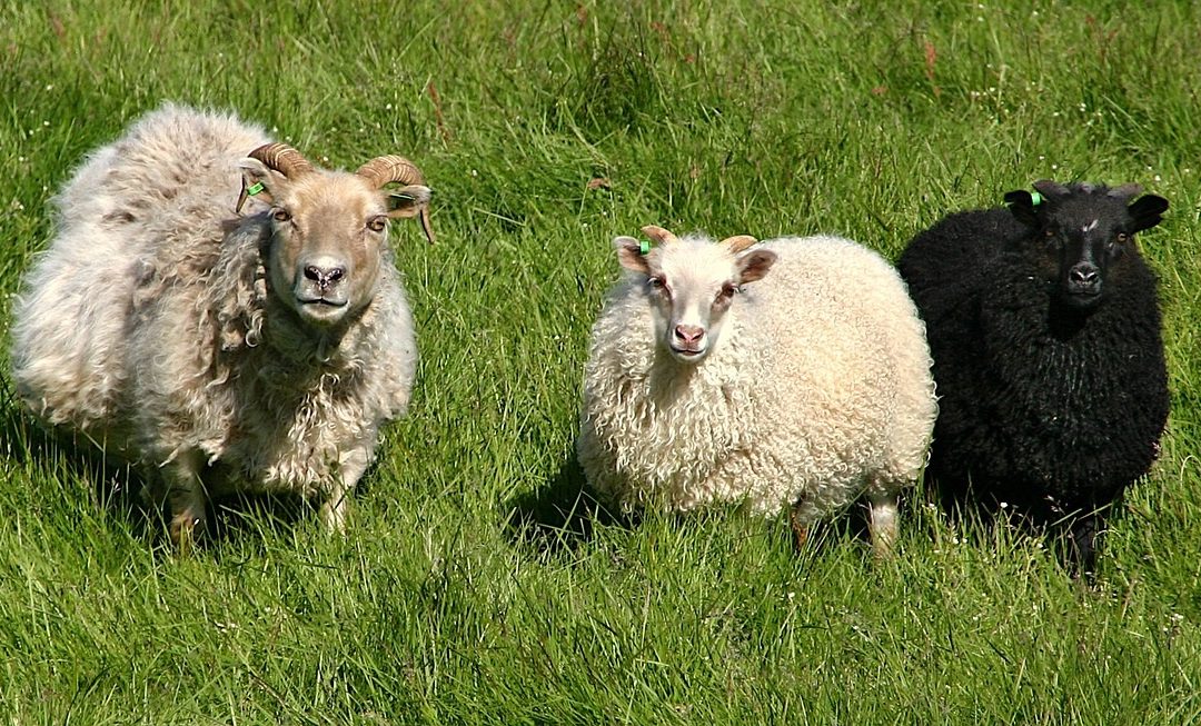 De rechter legt uit binnen welke termijn een onterfd kind aanspraak moet maken op de legitieme en op welke informatie hij recht heeft.