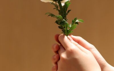 Begraven of cremeren